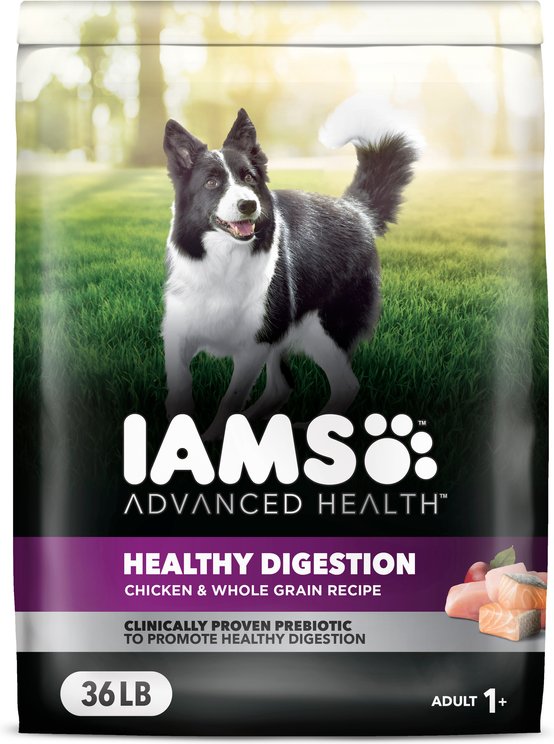 Iams Advanced Health Powdered Dog Food