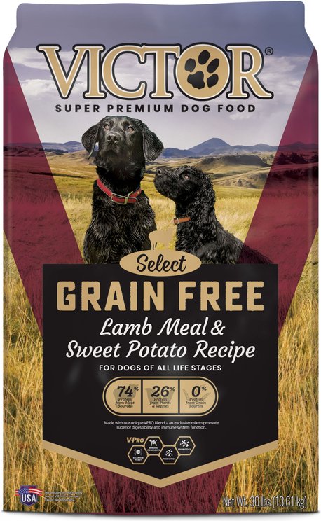 VICTOR Select Lamb Meal & Sweet Potato Recipe Grain-Free Powdered Dog Food