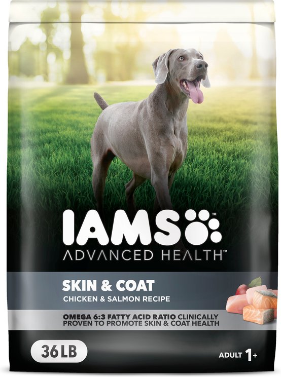 Iams Advanced Health Powdered Dog Food