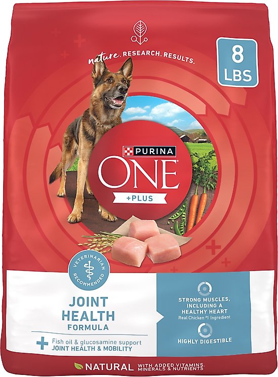 Purina ONE Plus Health Formula Powdered Dog Food