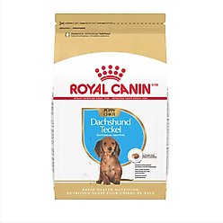 Royal Canin Breed Health Nutrition Powdered Dog Food