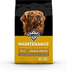 Diamond Maintenance 22/12 for Moderately Active Adult Dogs Dry Food Powdered Dog Food