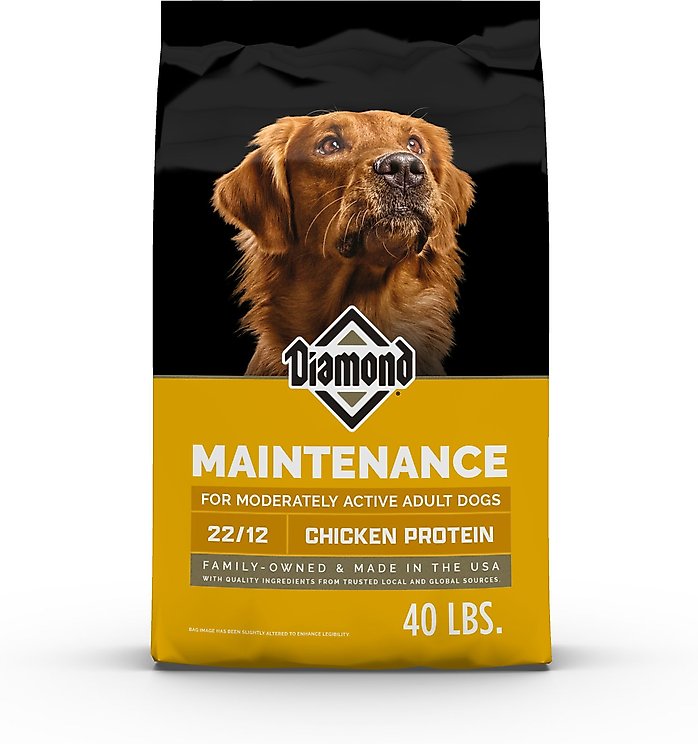 Diamond Maintenance Formula Adult Powdered Dog Food