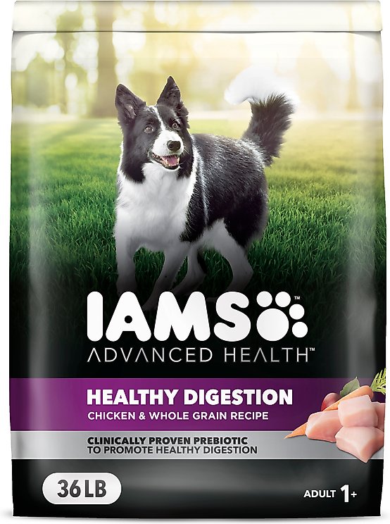 Iams Advanced Health Powdered Dog Food