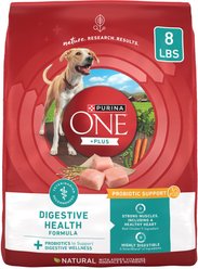 Purina ONE Plus Health Formula Powdered Dog Food