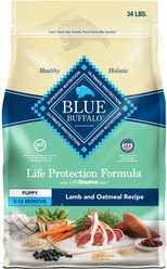 Blue Buffalo Life Protection Formula Powdered Dog Food